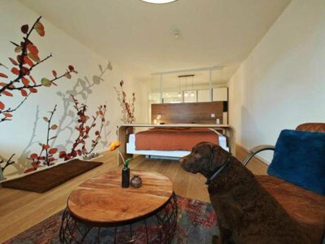 Artroom Boarding Apartment Bissendorf ภายนอก รูปภาพ